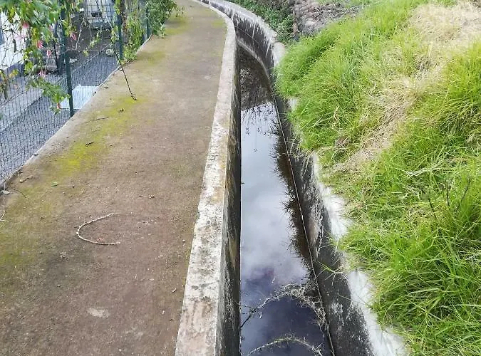 View Σπίτι διακοπών Ponta do Sol (Madeira)